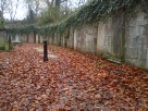 IMG_20201128_103641.jpg